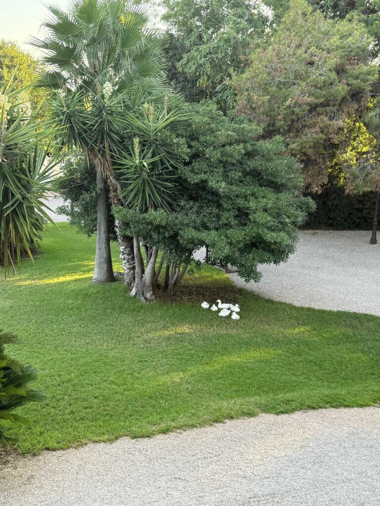 Sincronía Events – Wedding & Event Planner (31) Sincronia Events Wedding Event Planner 31