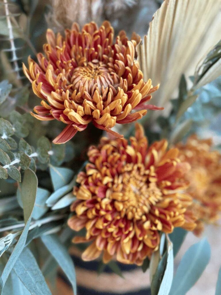 Sincronía Events – Wedding & Event Planner (39) Sincronia Events Wedding Event Planner 39