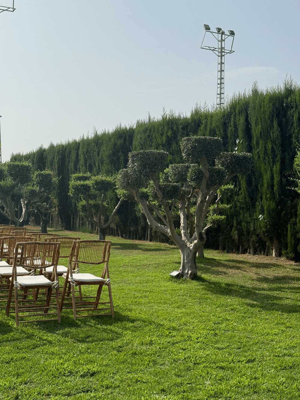 Sincronia Events Wedding Event Planner 79